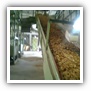 LEAF TOBACCO SHREDDED TOBACCO raw tobacco leaf dark air cured tobacco rustica tobacco FLUE CURED TOBACCO